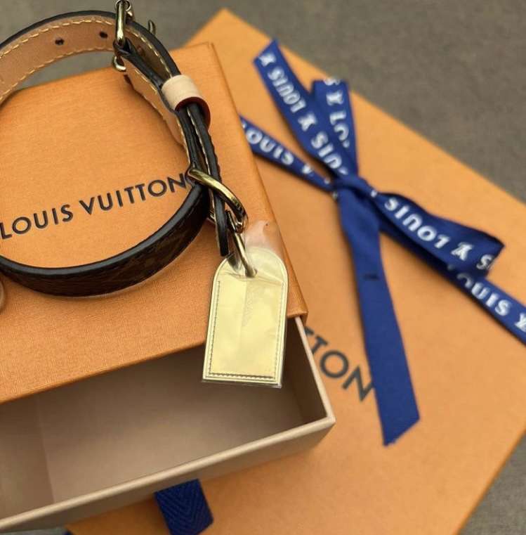 Louis Vuitton obojok