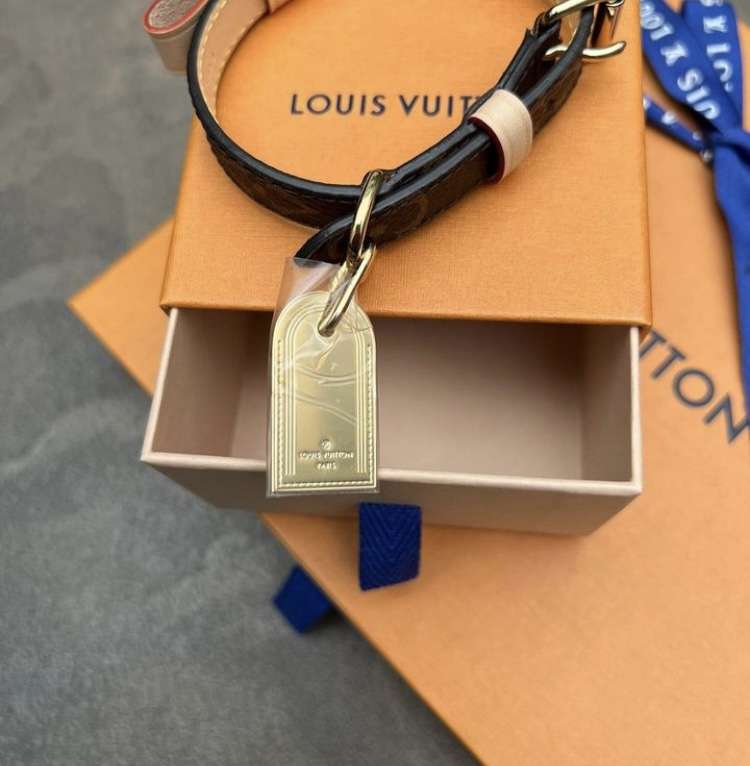 Louis Vuitton obojok