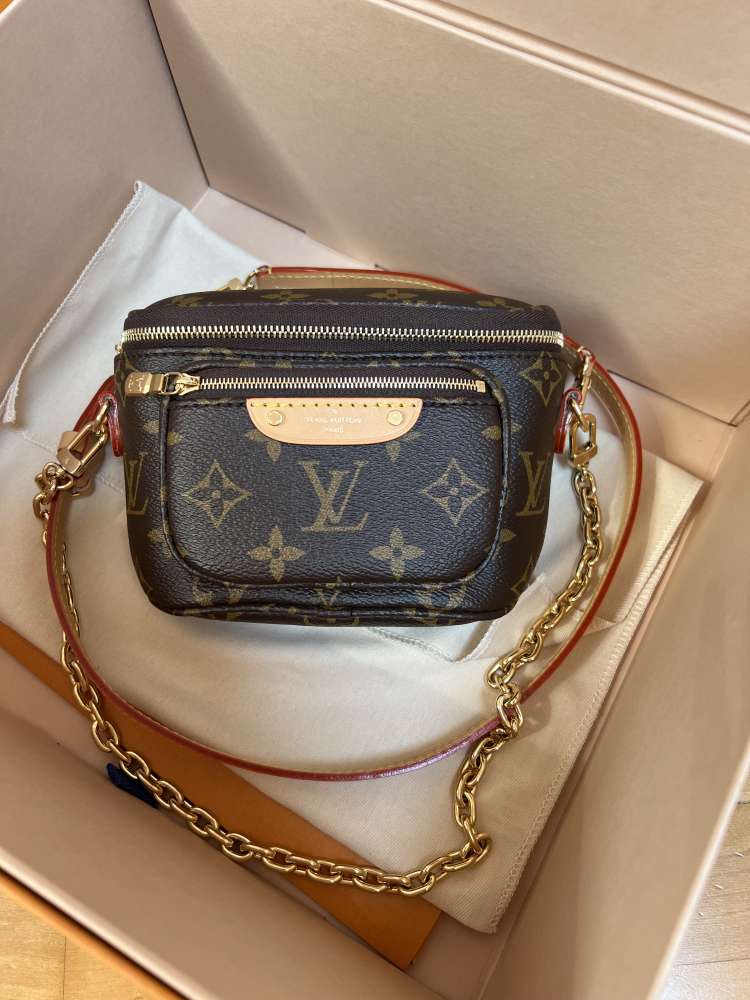 Louis Vuitton Mini Bumbag - Vip Luxury