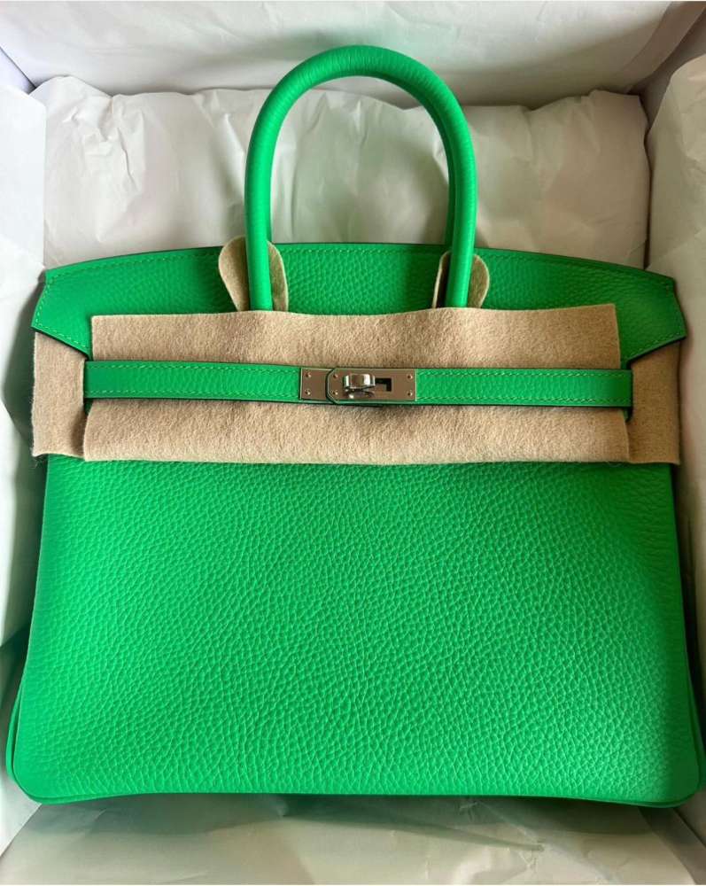 Birkin 25 Vert Comics