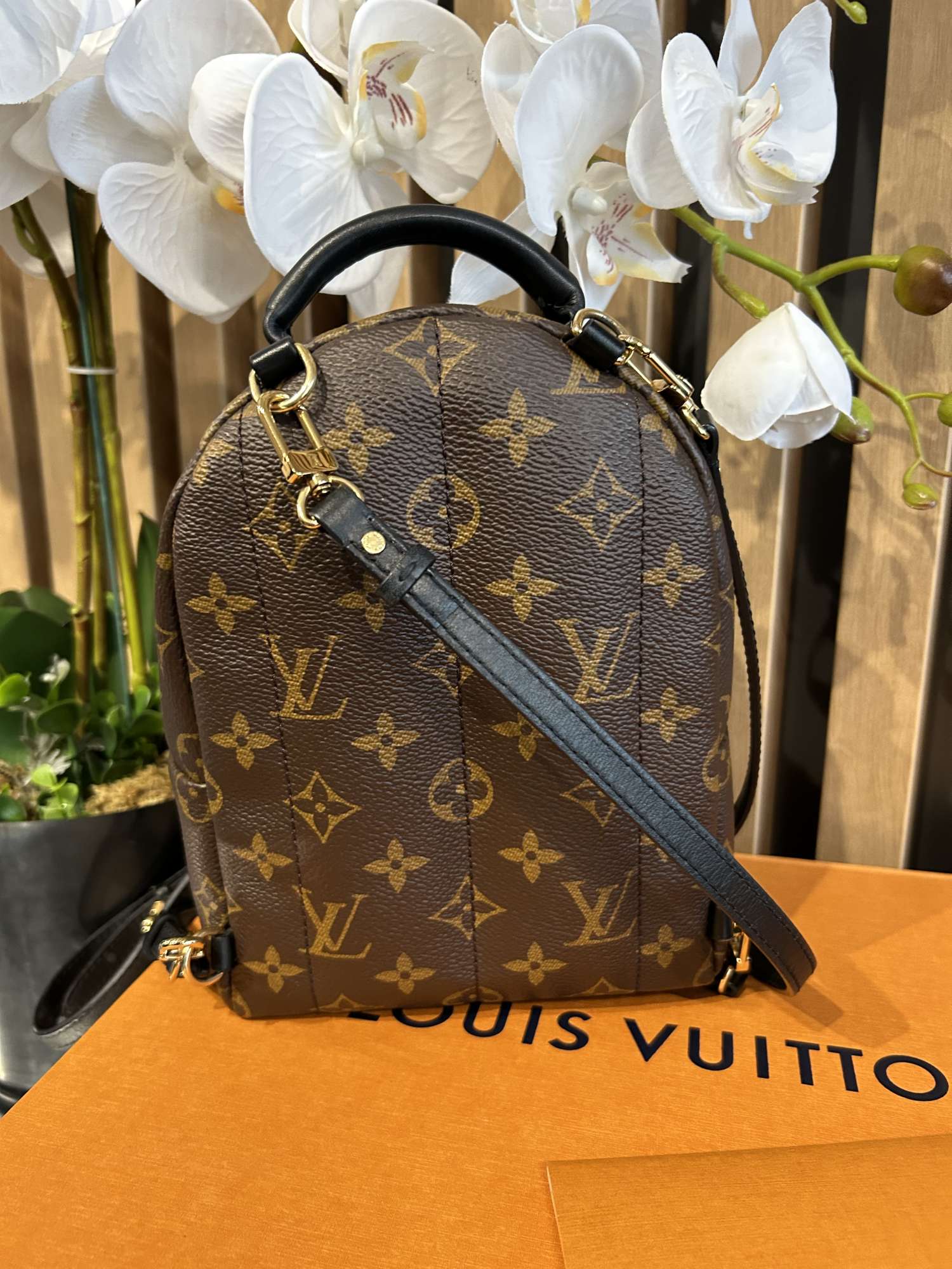 Louis Vuitton ruksak