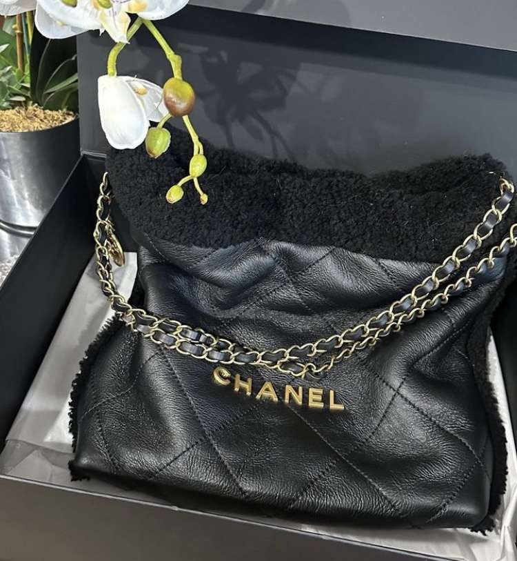 Chanel 22