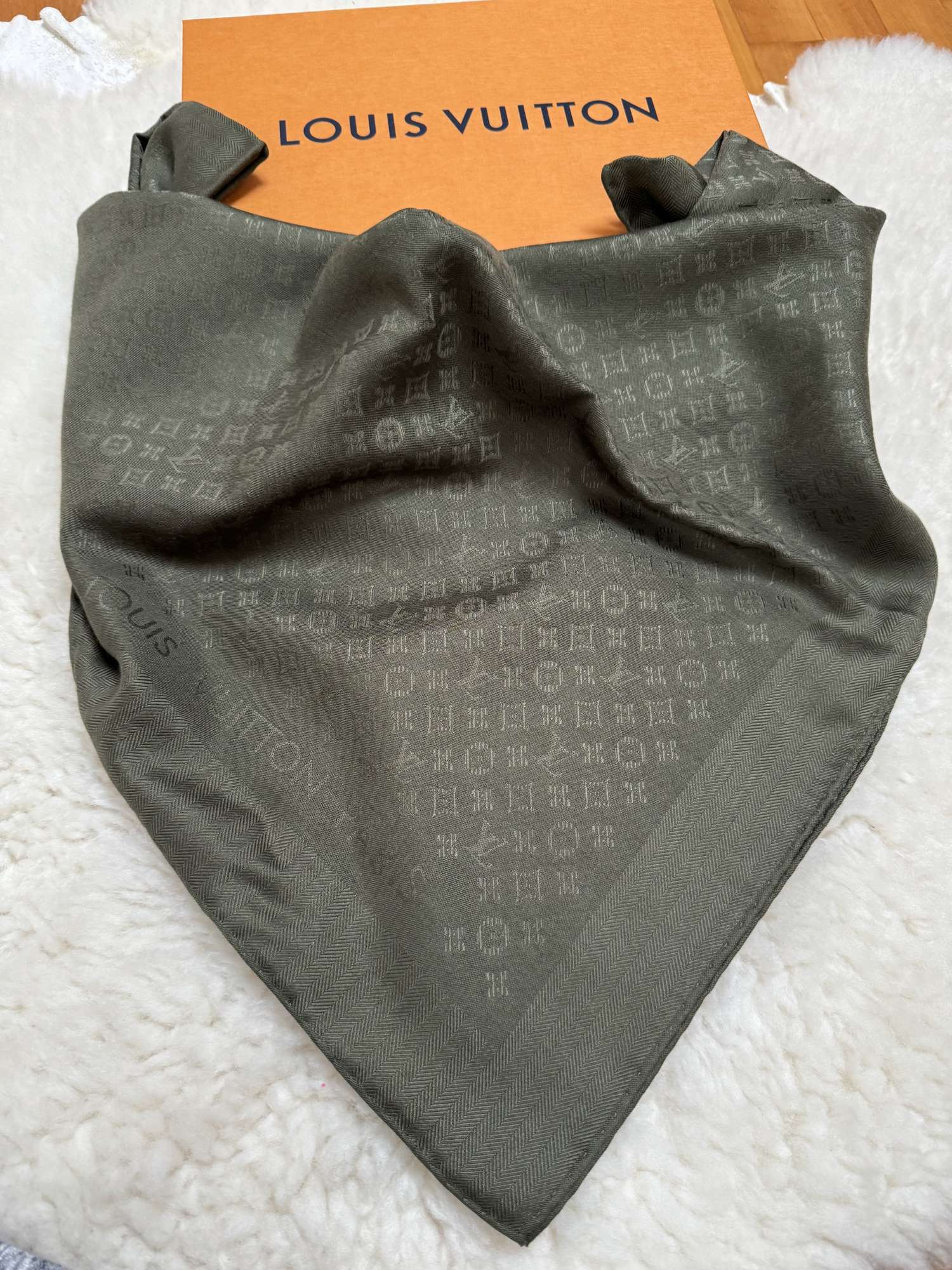 Louis Vuitton Evermore shawl