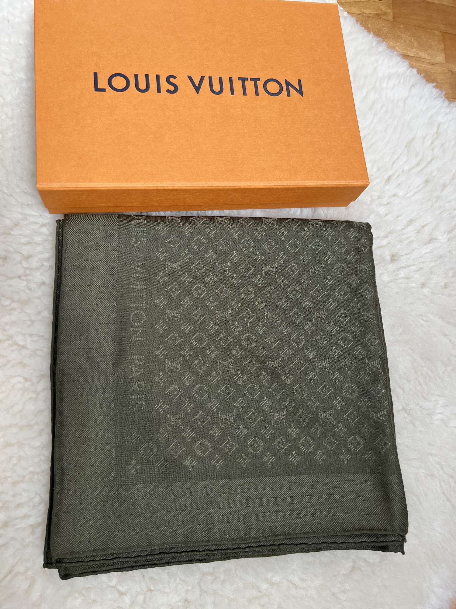 Louis Vuitton Evermore shawl