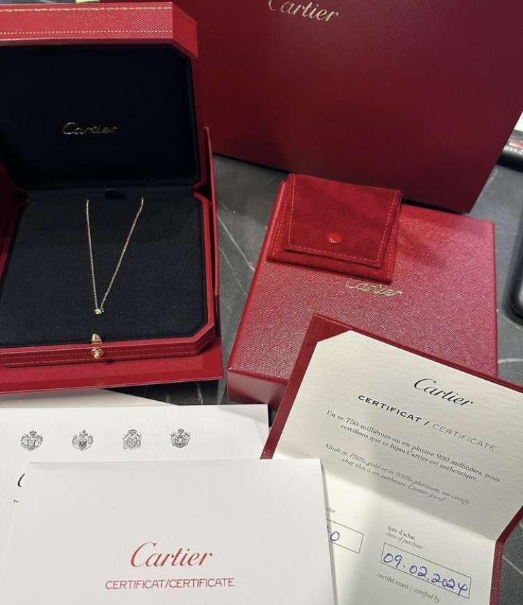 Cartier nahrdelnik