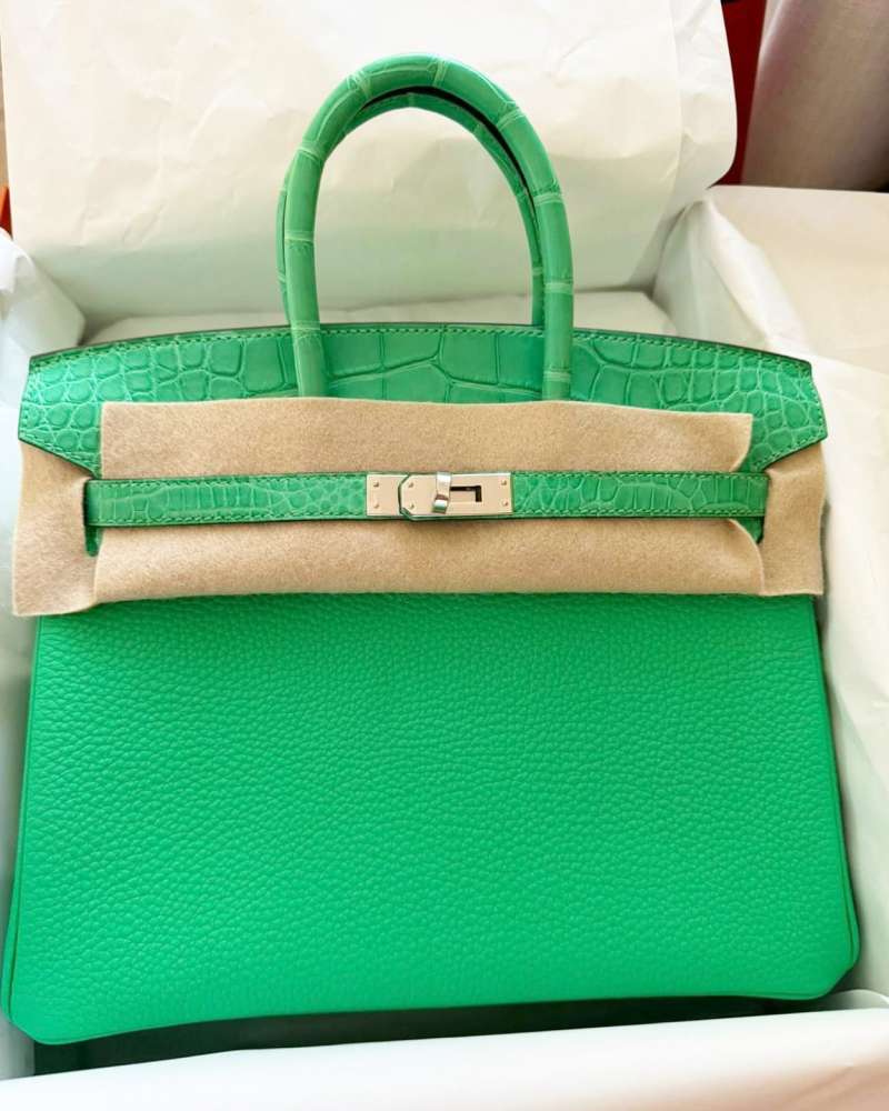 Hermes Birkin Touch