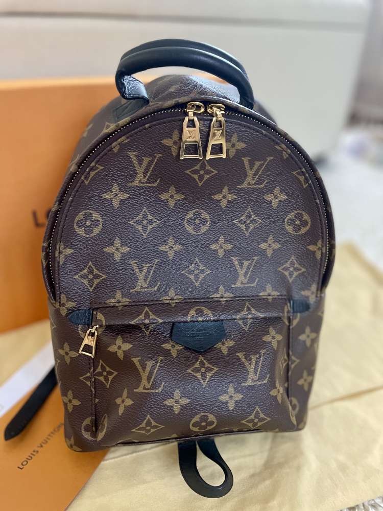 Louis Vuitton Palm Springs PM Backpack