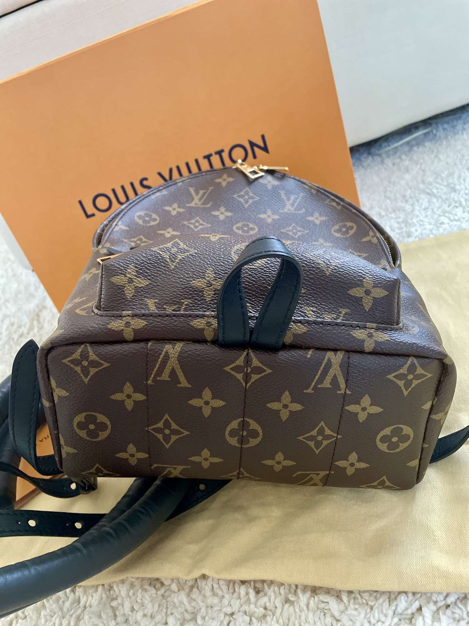 Louis Vuitton Palm Springs PM Backpack