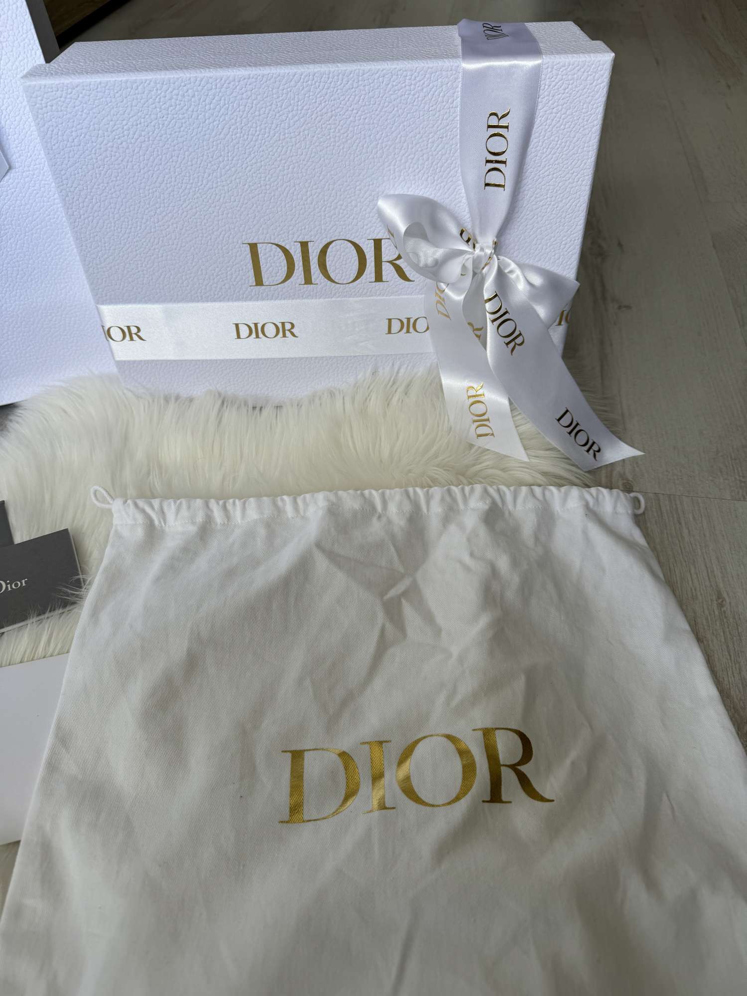 Dior Saddle bag s popruhom