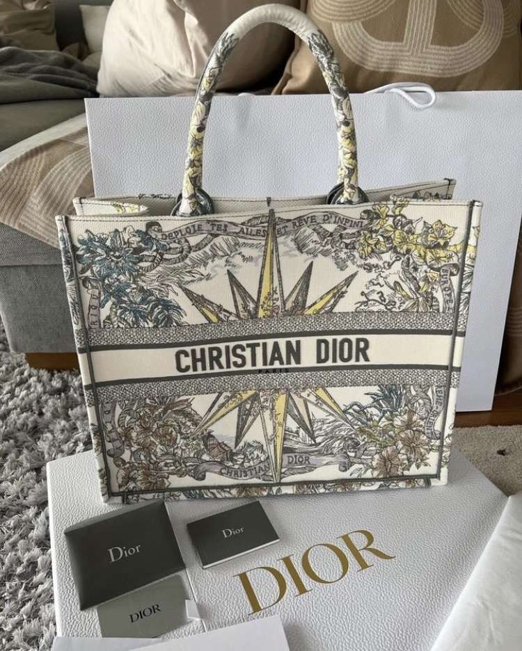Dior Book Tote Large bag