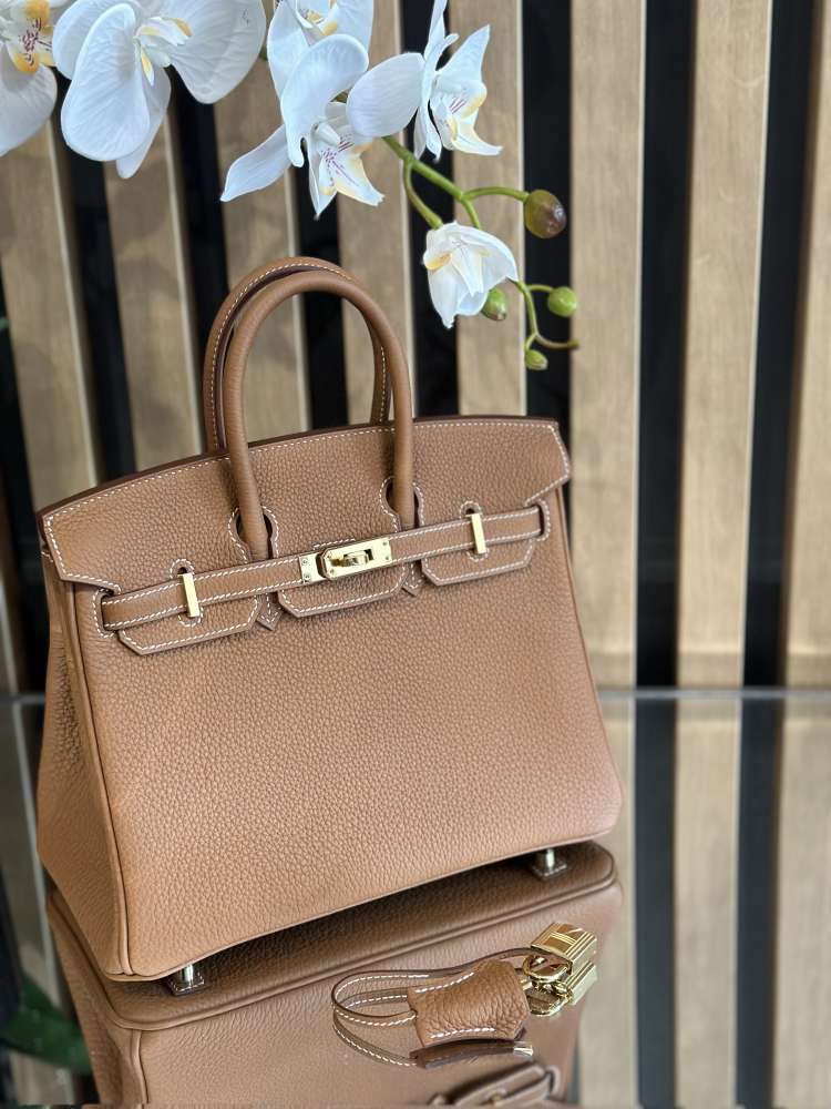 Hermes Birkin 25