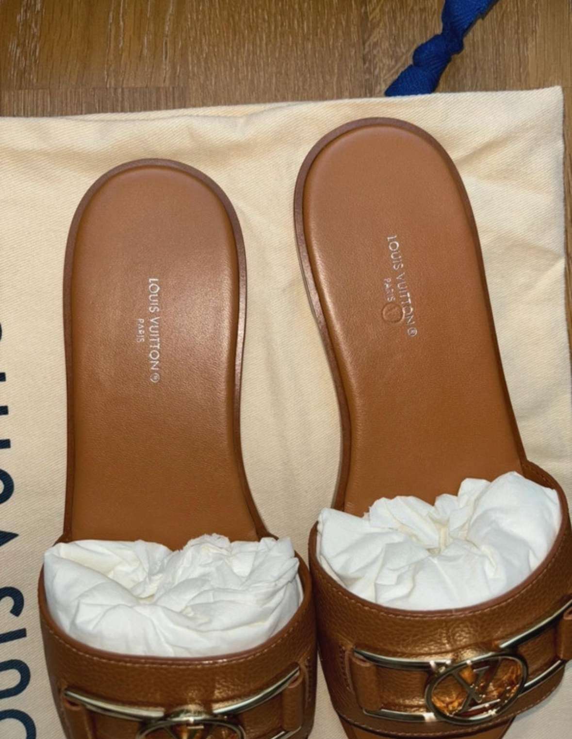 Louis Vuitton šlapky