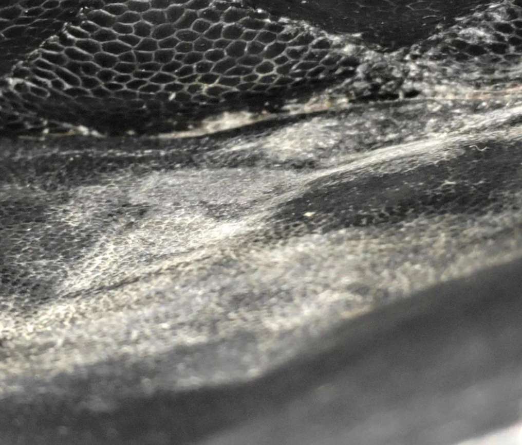 Chanel Classic Flap Jumbo