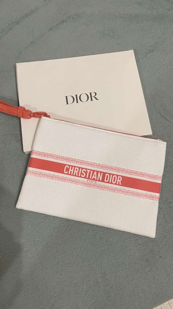 Pouch- Dior