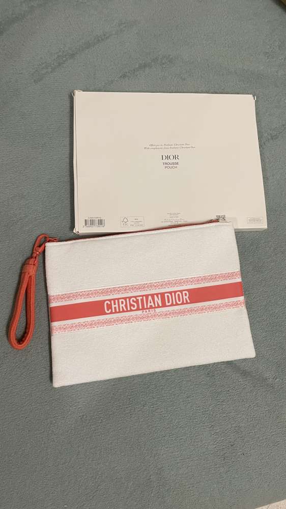 Pouch- Dior
