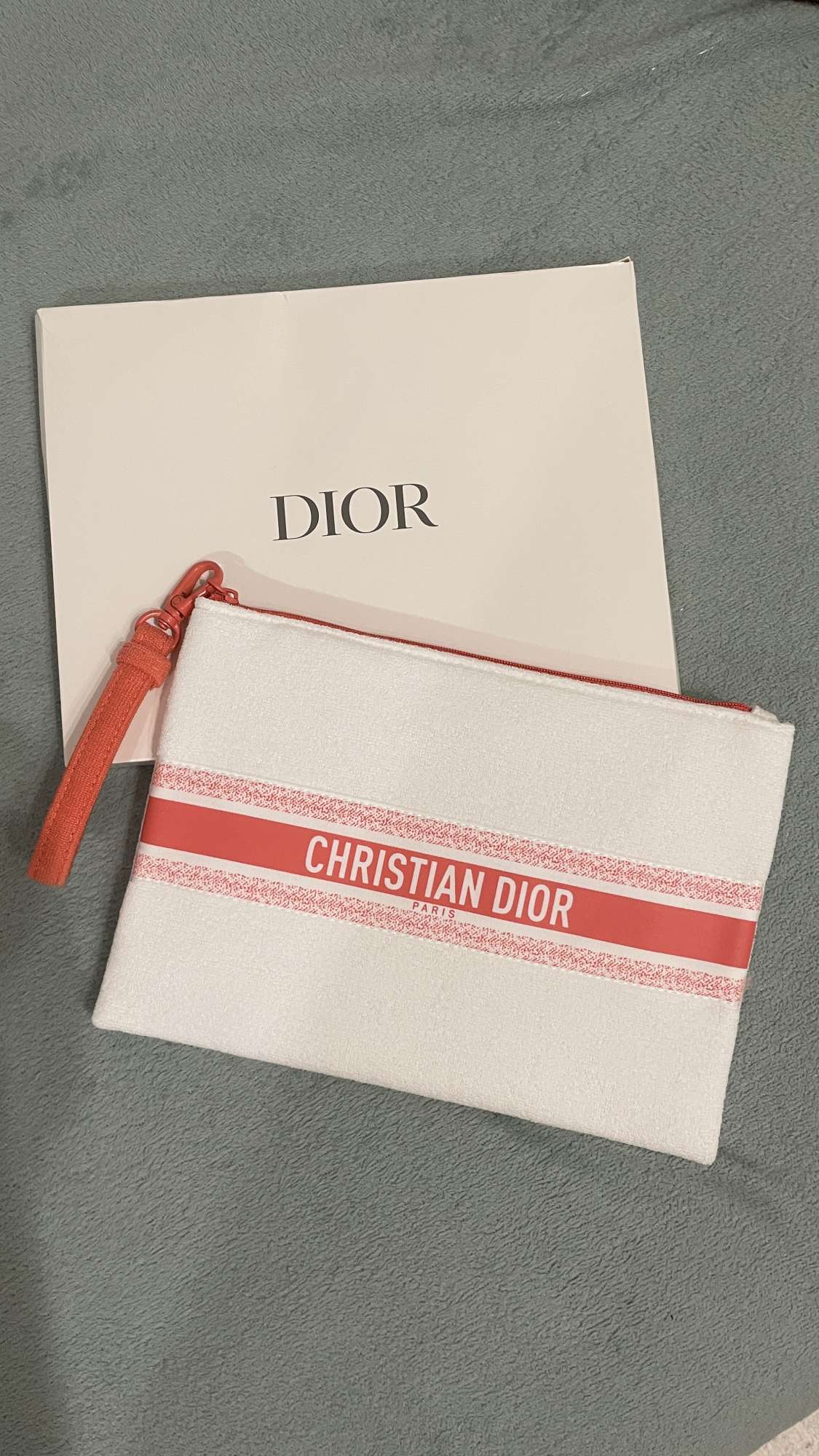 Pouch- Dior
