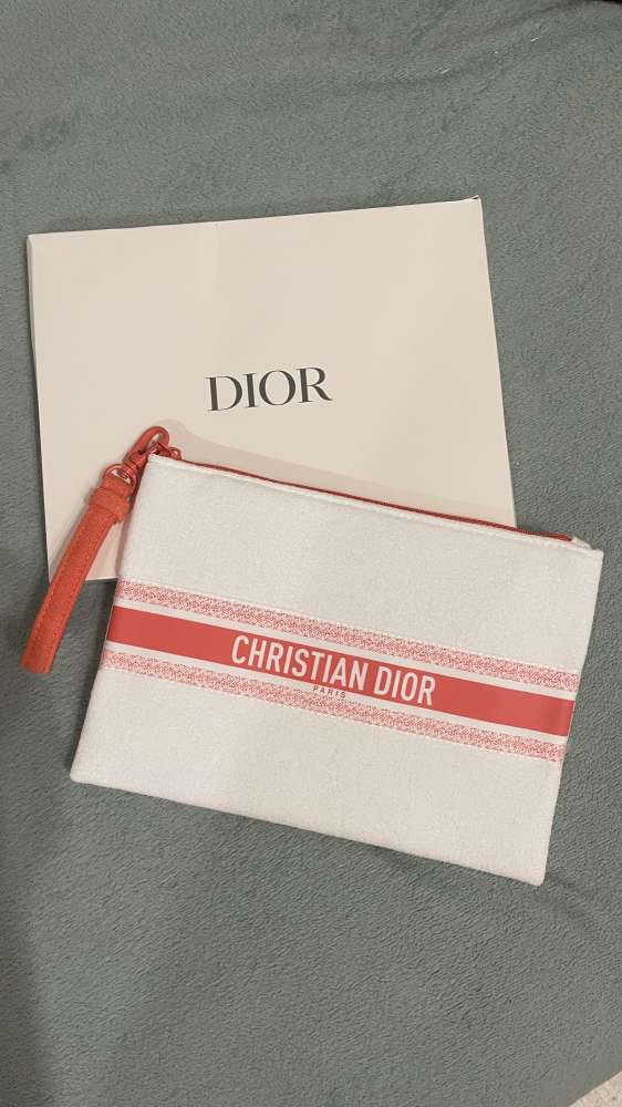 Pouch- Dior