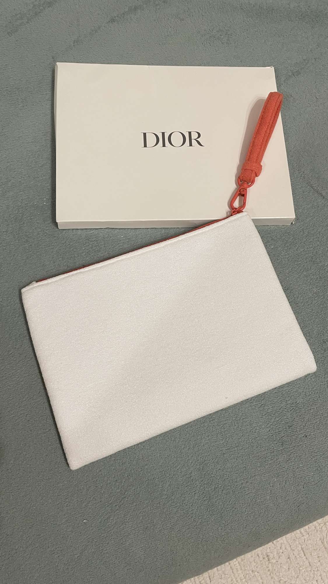Pouch- Dior