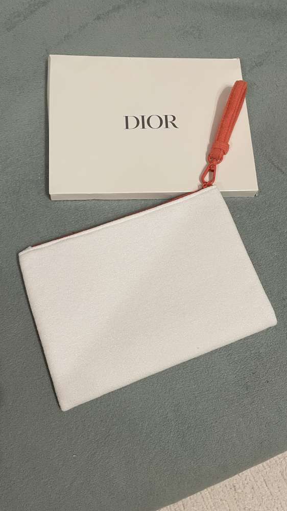 Pouch- Dior