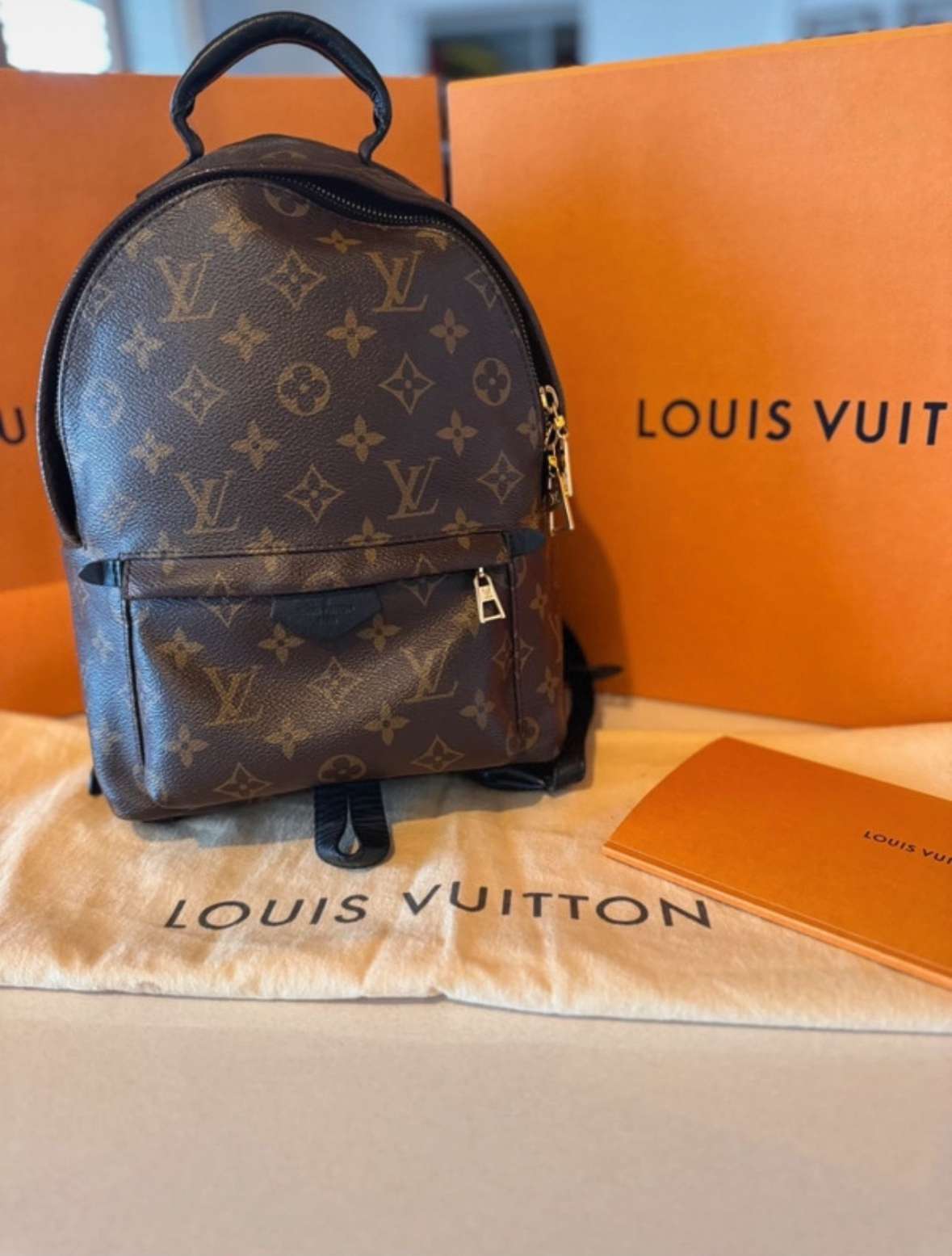 Louis Vuitton Palm PM