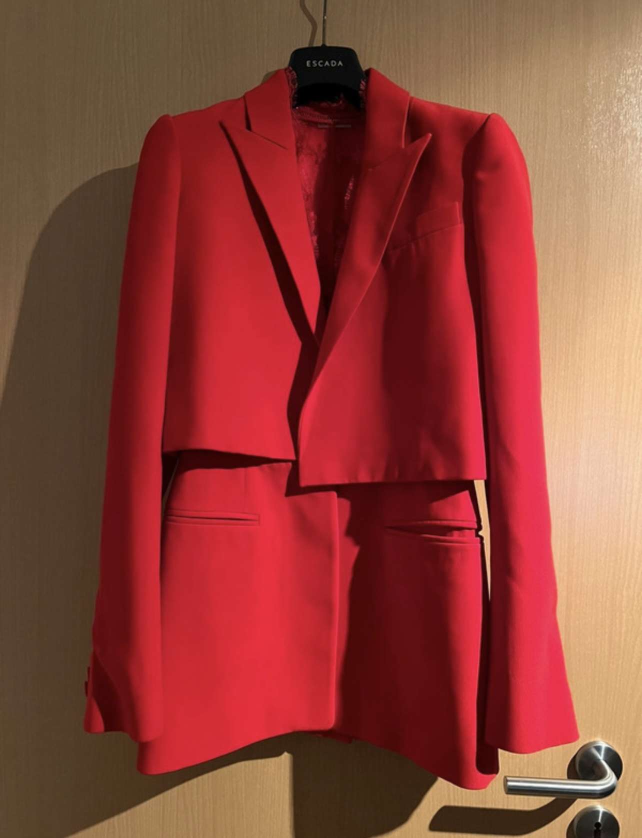 Alexander McQueen red jacket VIP LUXURY