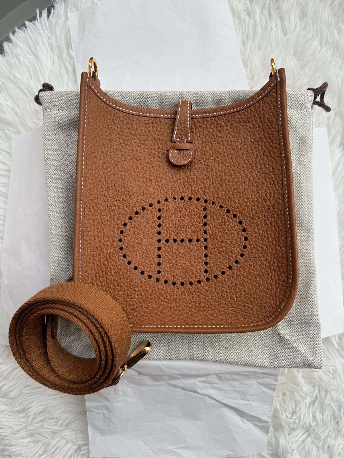 Hermes Mini Evelyne