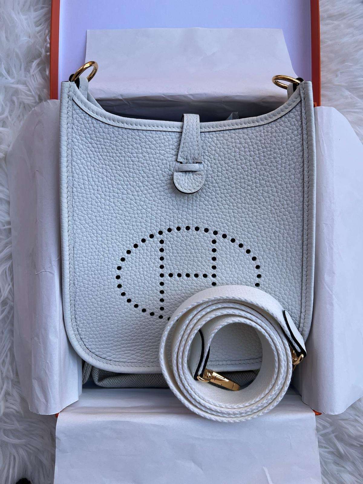 Hermes Mini Evelyne