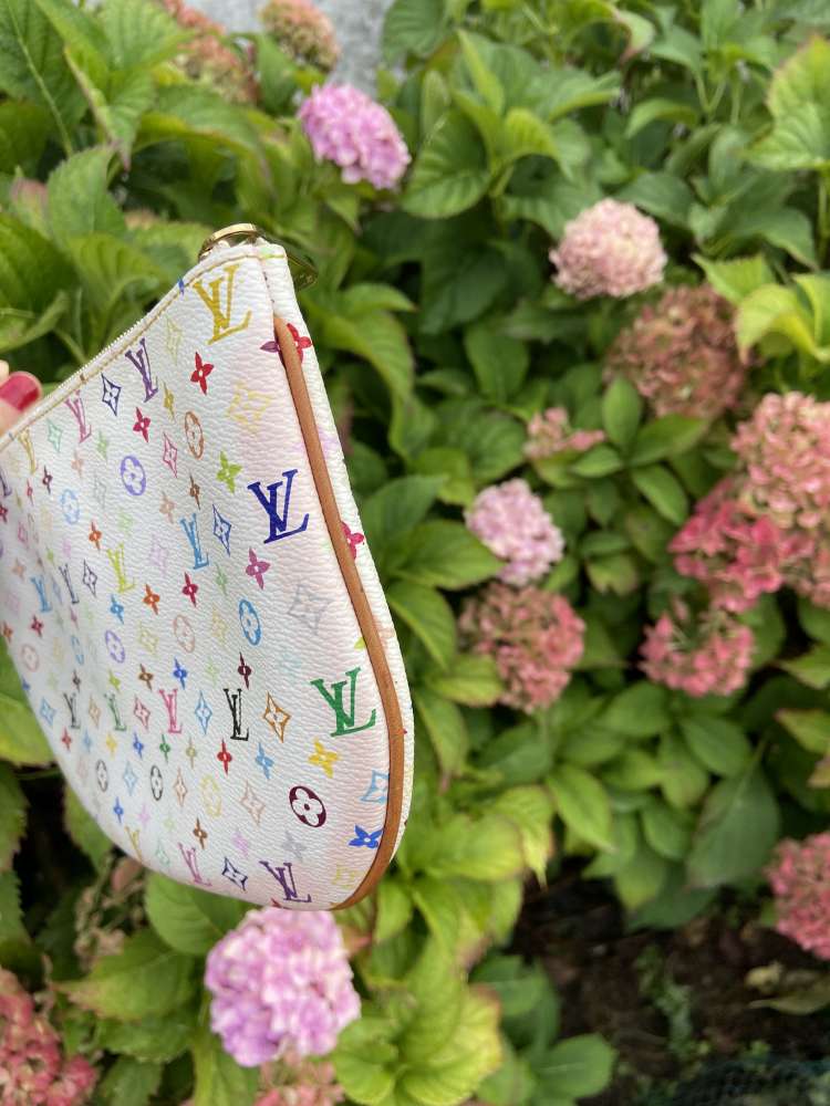 Louis Vuitton clutch