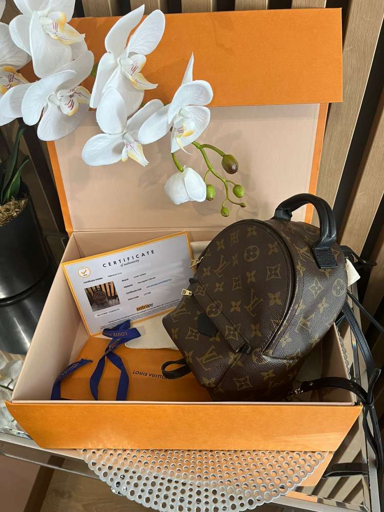 Louis Vuitton mini palm