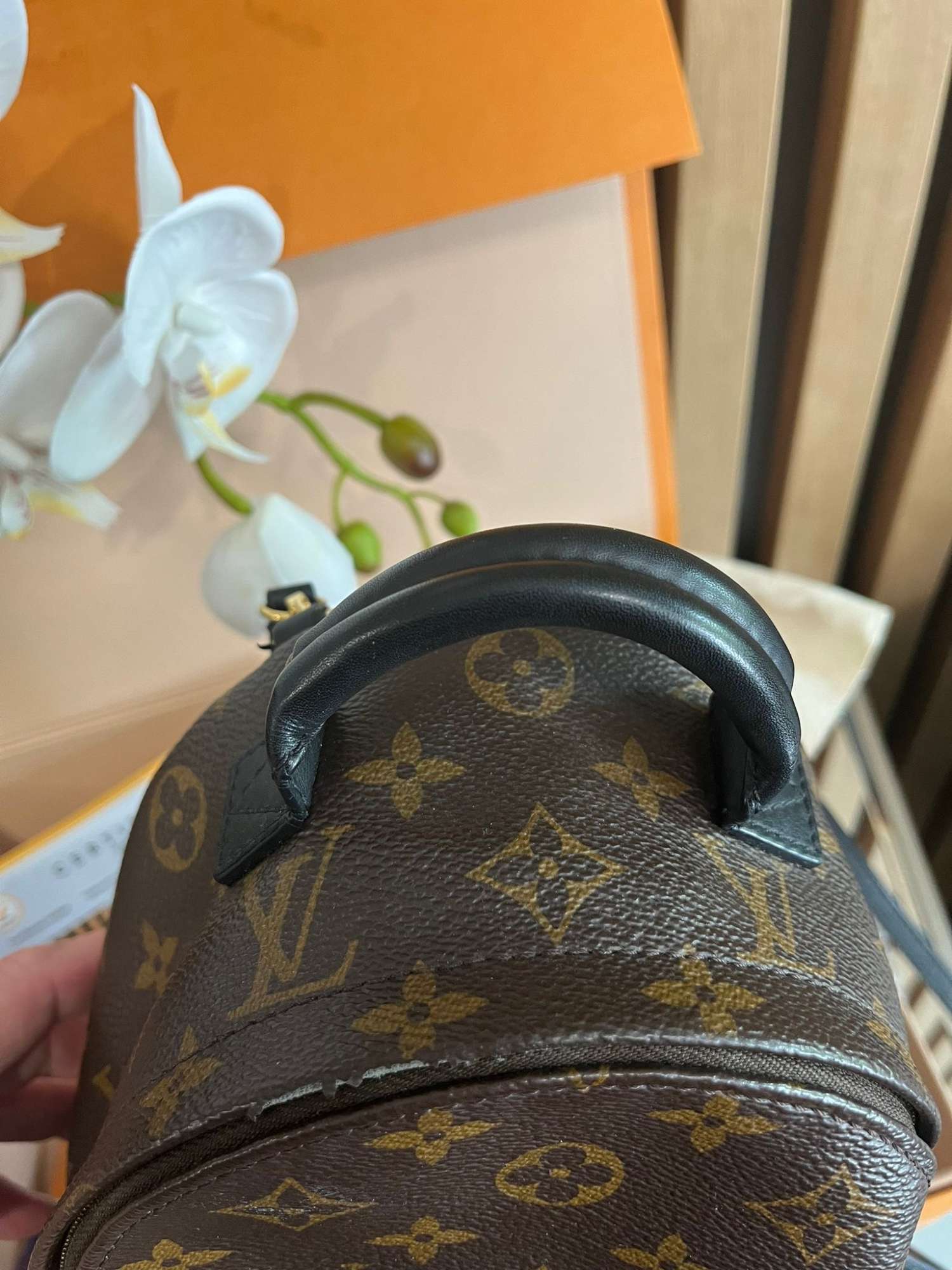 Louis Vuitton mini palm