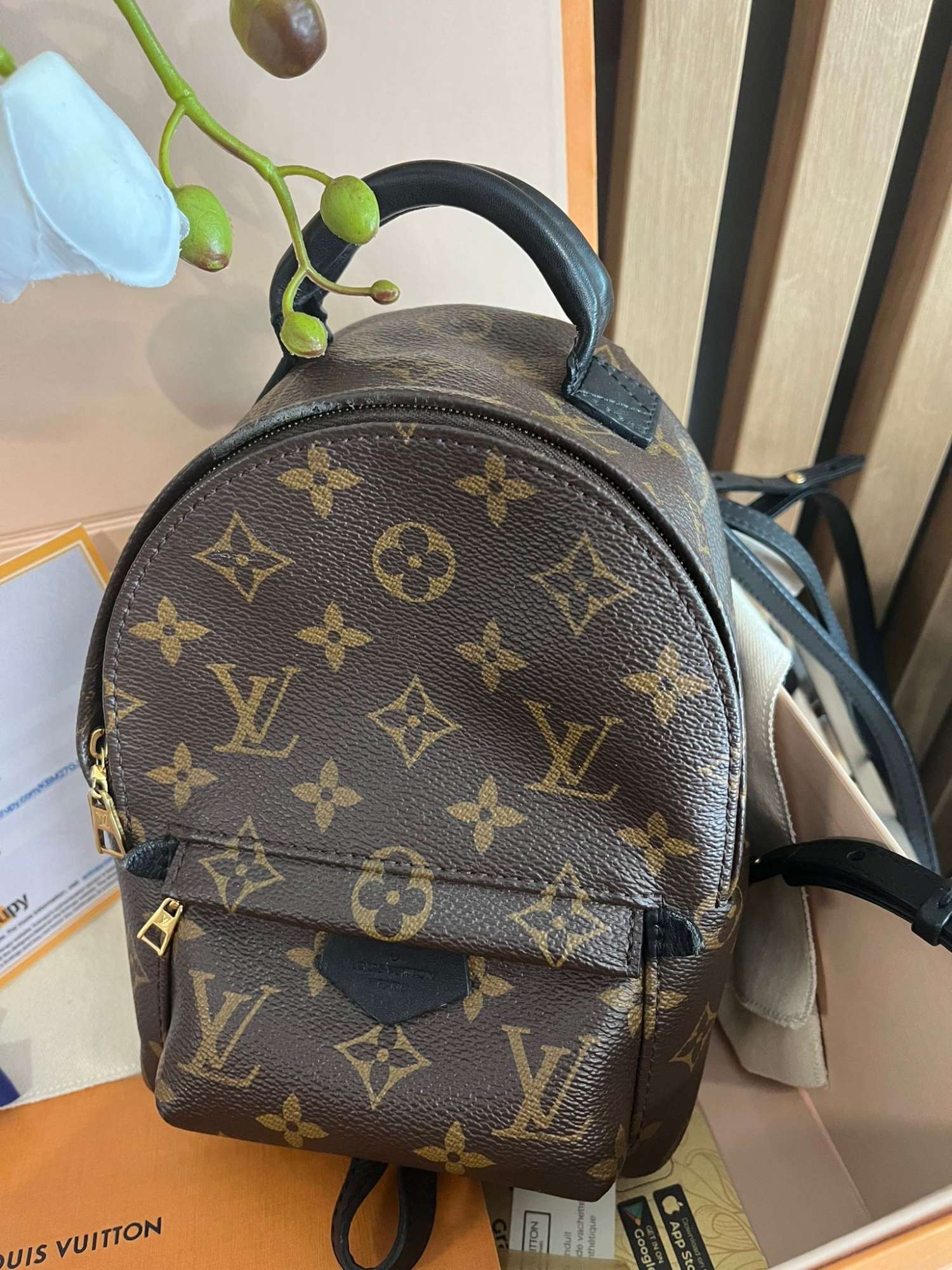 Louis Vuitton mini palm