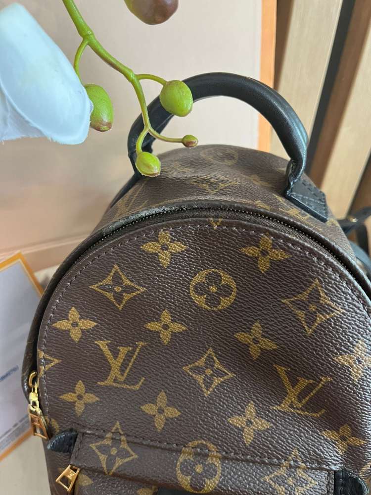 Louis Vuitton mini palm