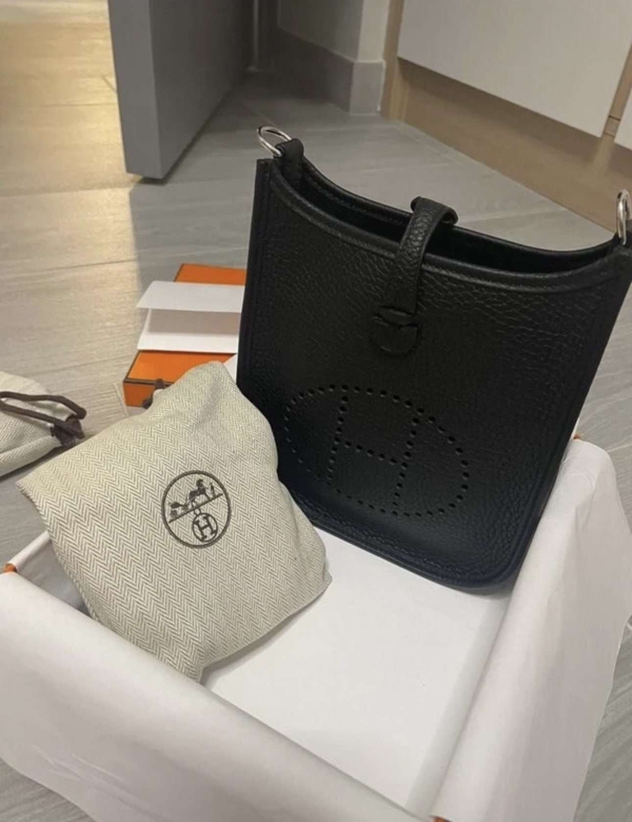 Hermes mini evelyne