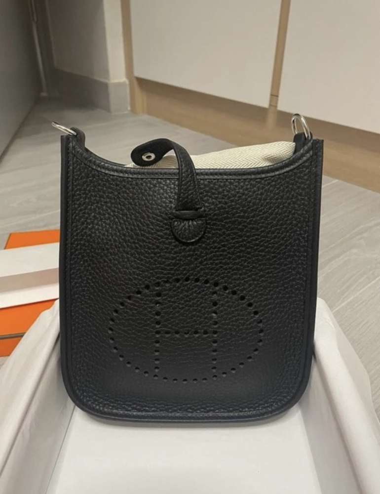 Hermes mini evelyne