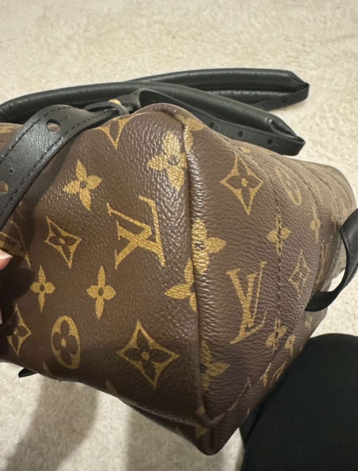 Louis Vuitton Palm spring MM