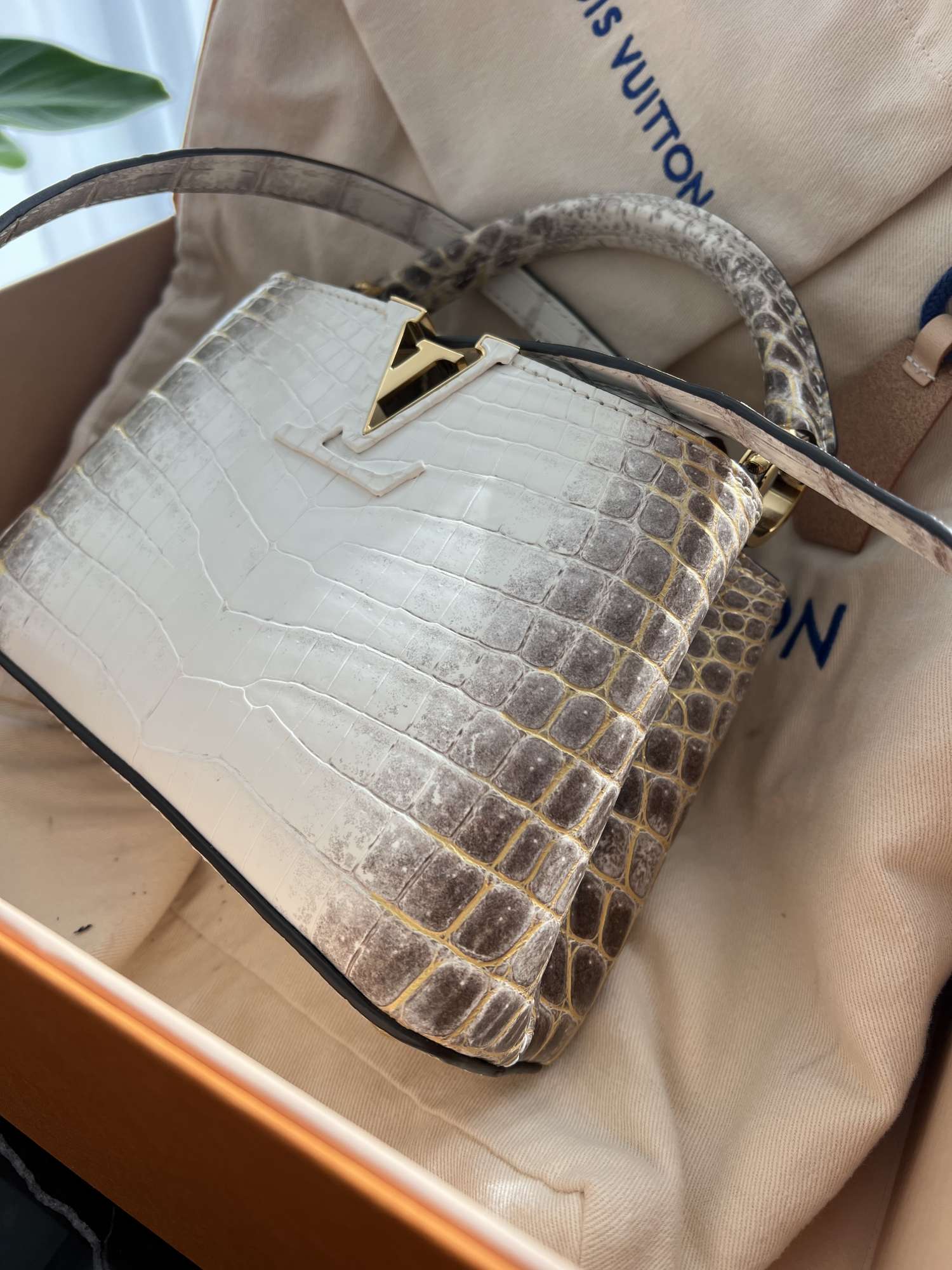 Louis Vuitton Himalaya Capucines