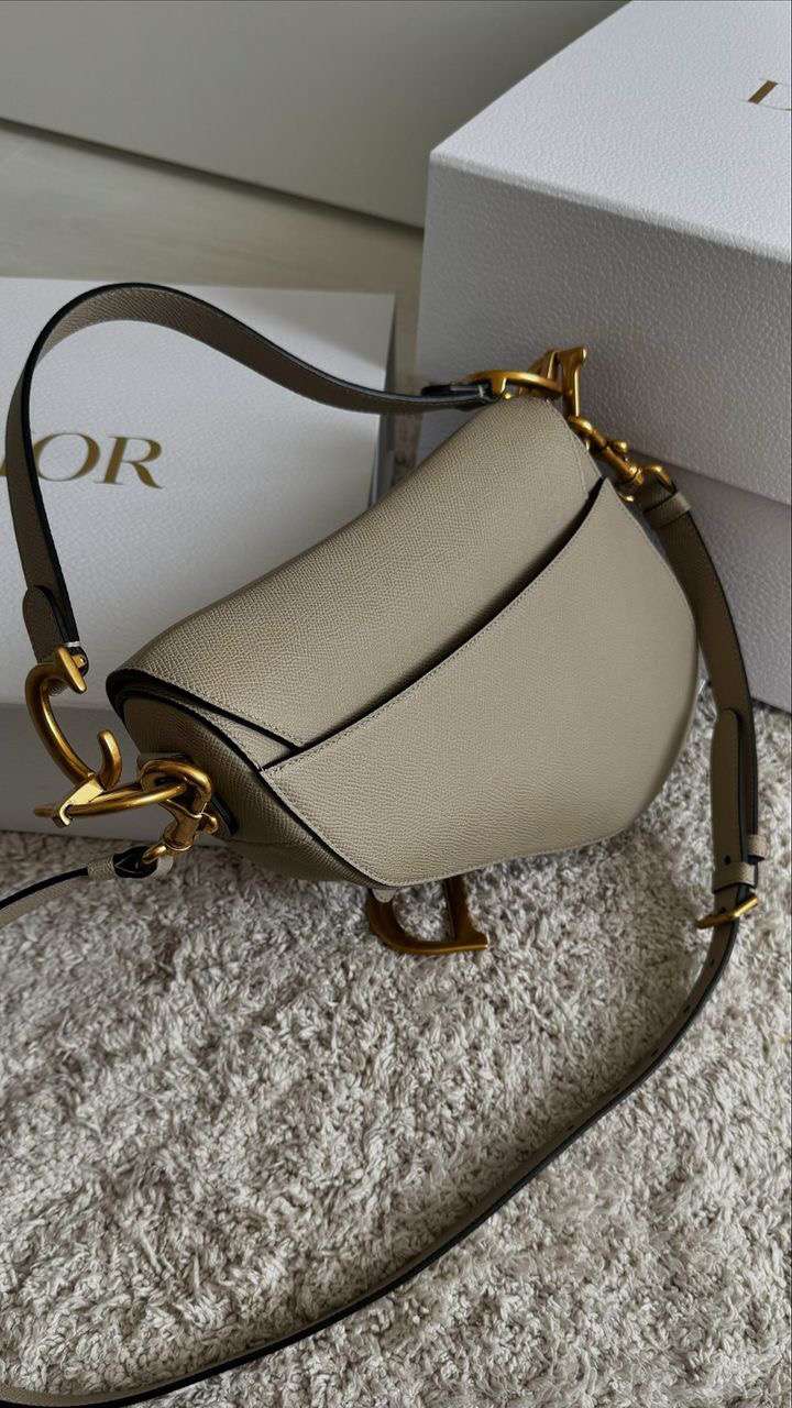 Christian Dior saddle