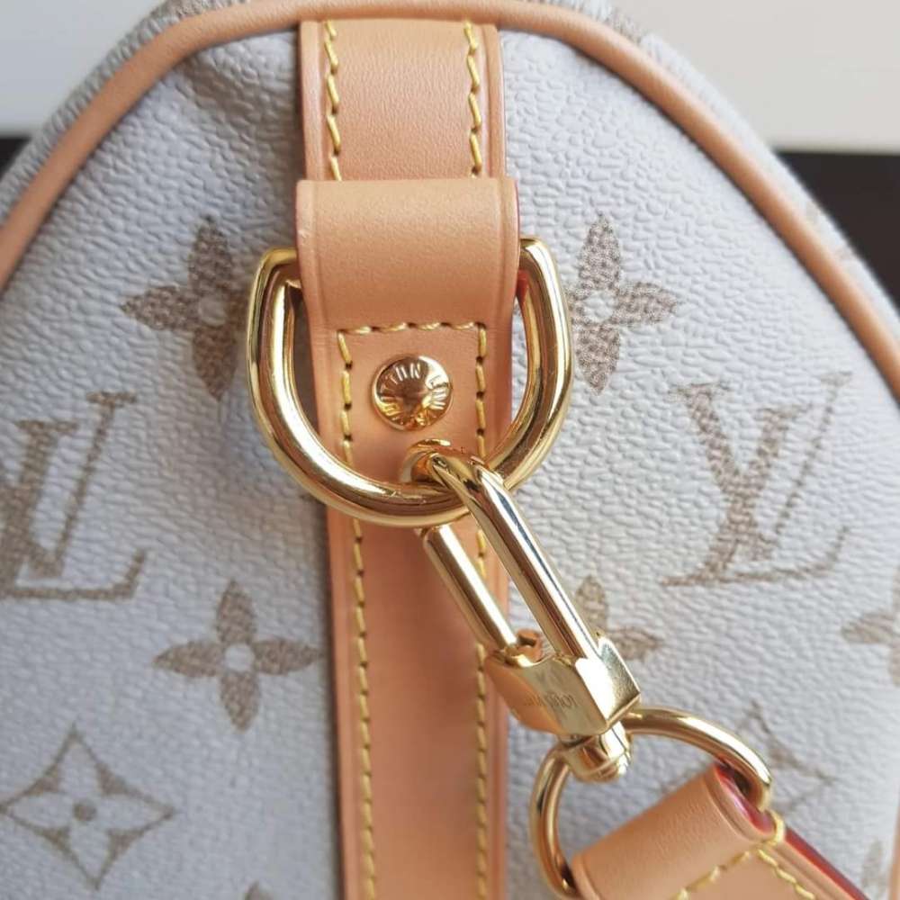 Louis Vuitton Speedy 25 Bandoulière