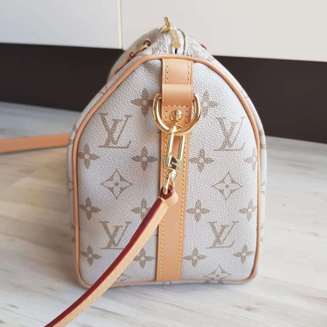 Louis Vuitton Speedy 25 Bandoulière