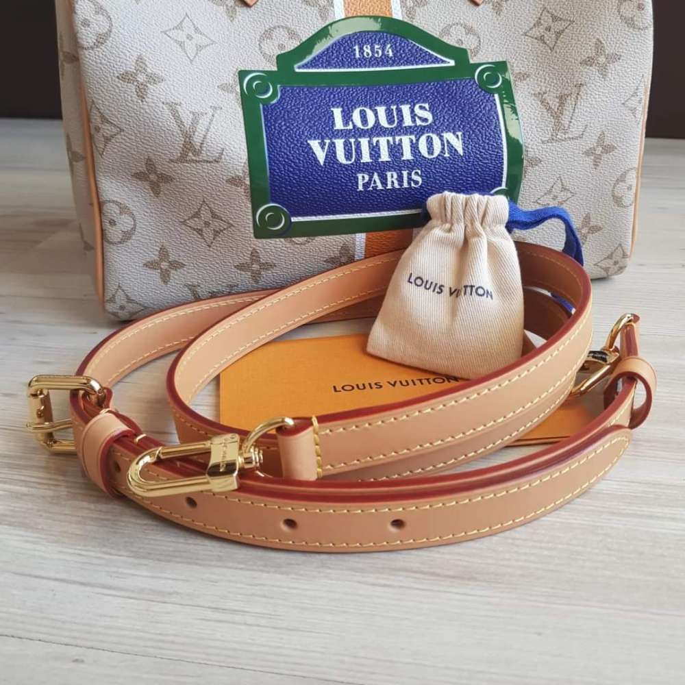 Louis Vuitton Speedy 25 Bandoulière