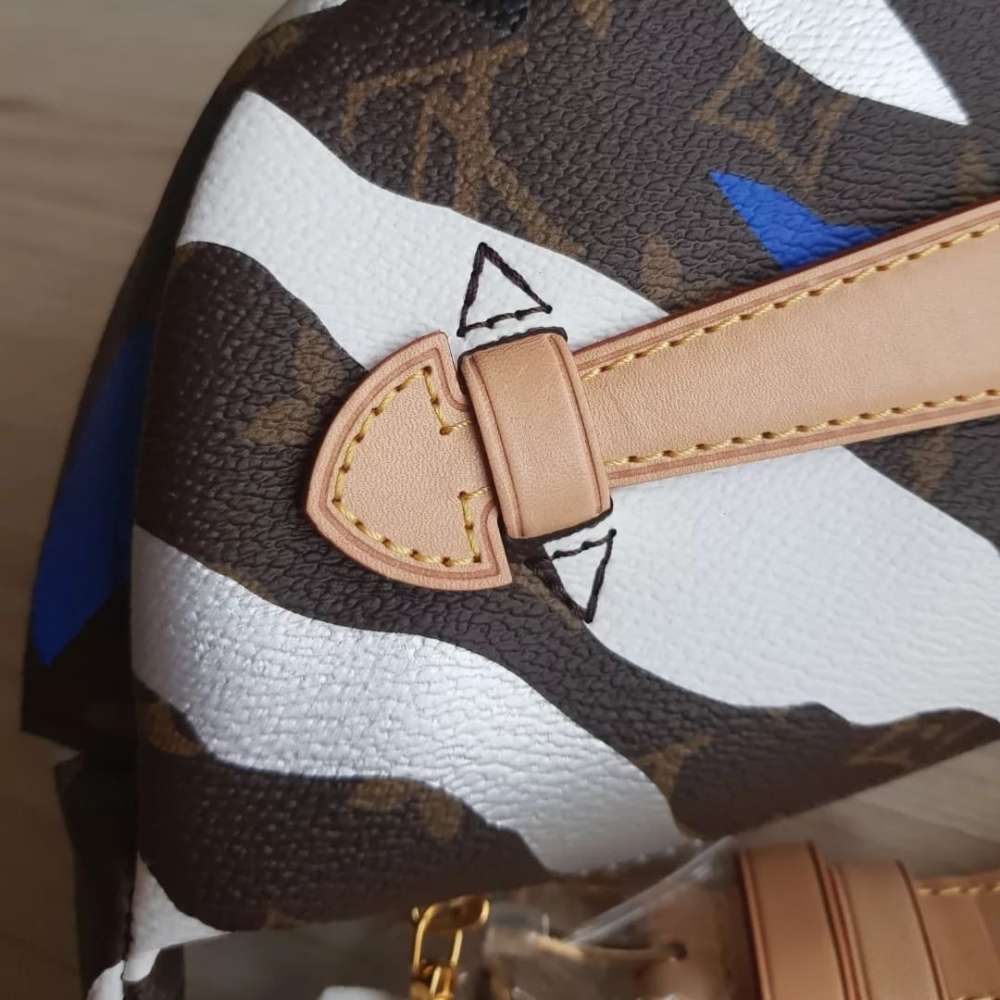 Louis Vuitton Bumbag