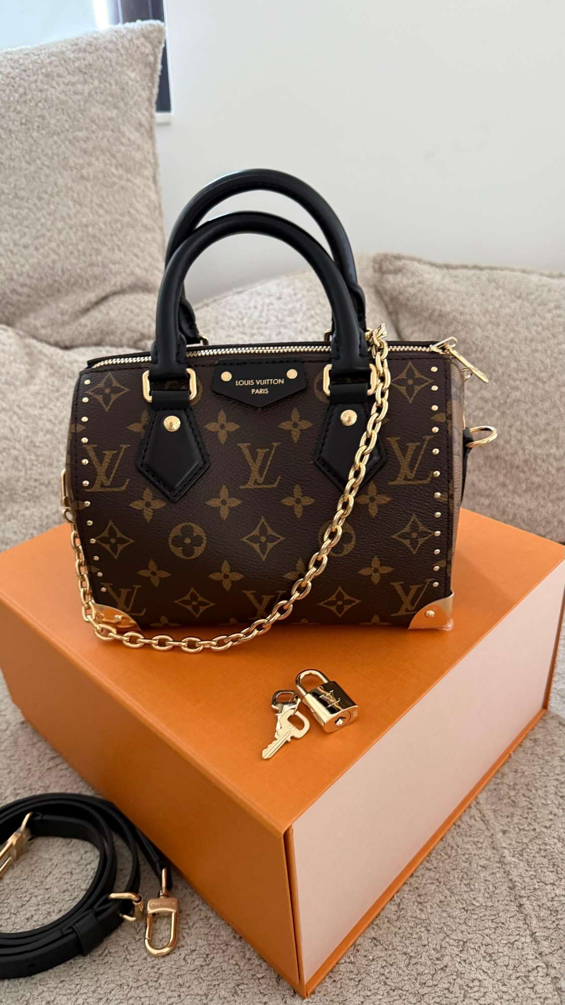 Louis Vuitton Speedy trunk 20