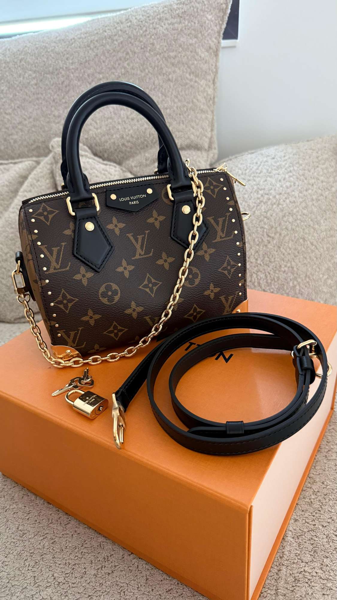 Louis Vuitton Speedy trunk 20