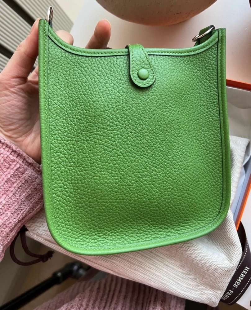 Hermes mini evelyne