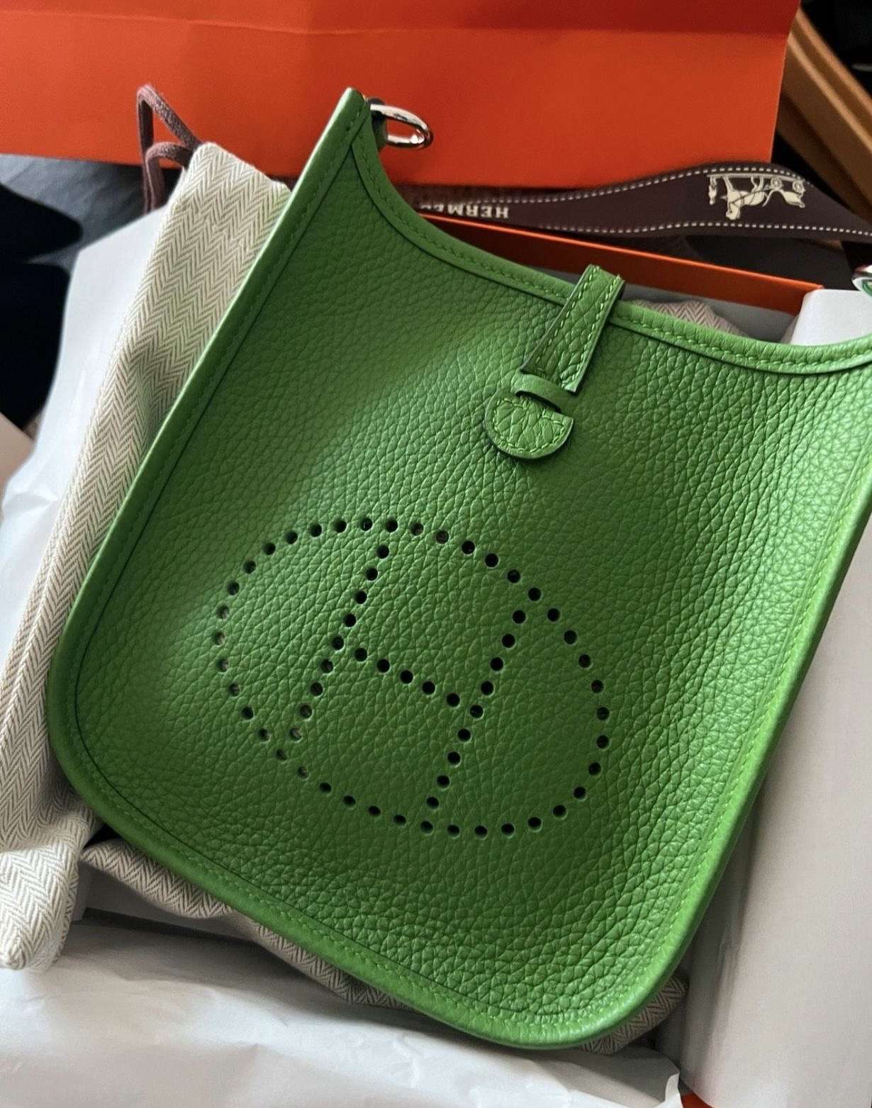 Hermes mini evelyne