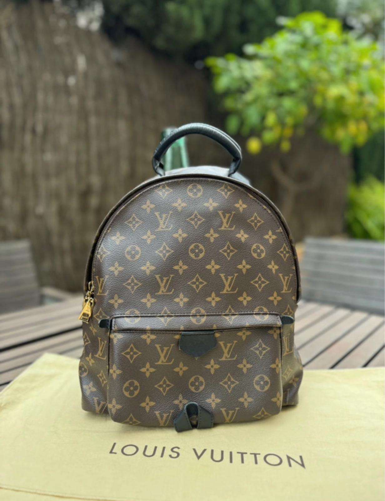 Louis Vuitton backpack Mm