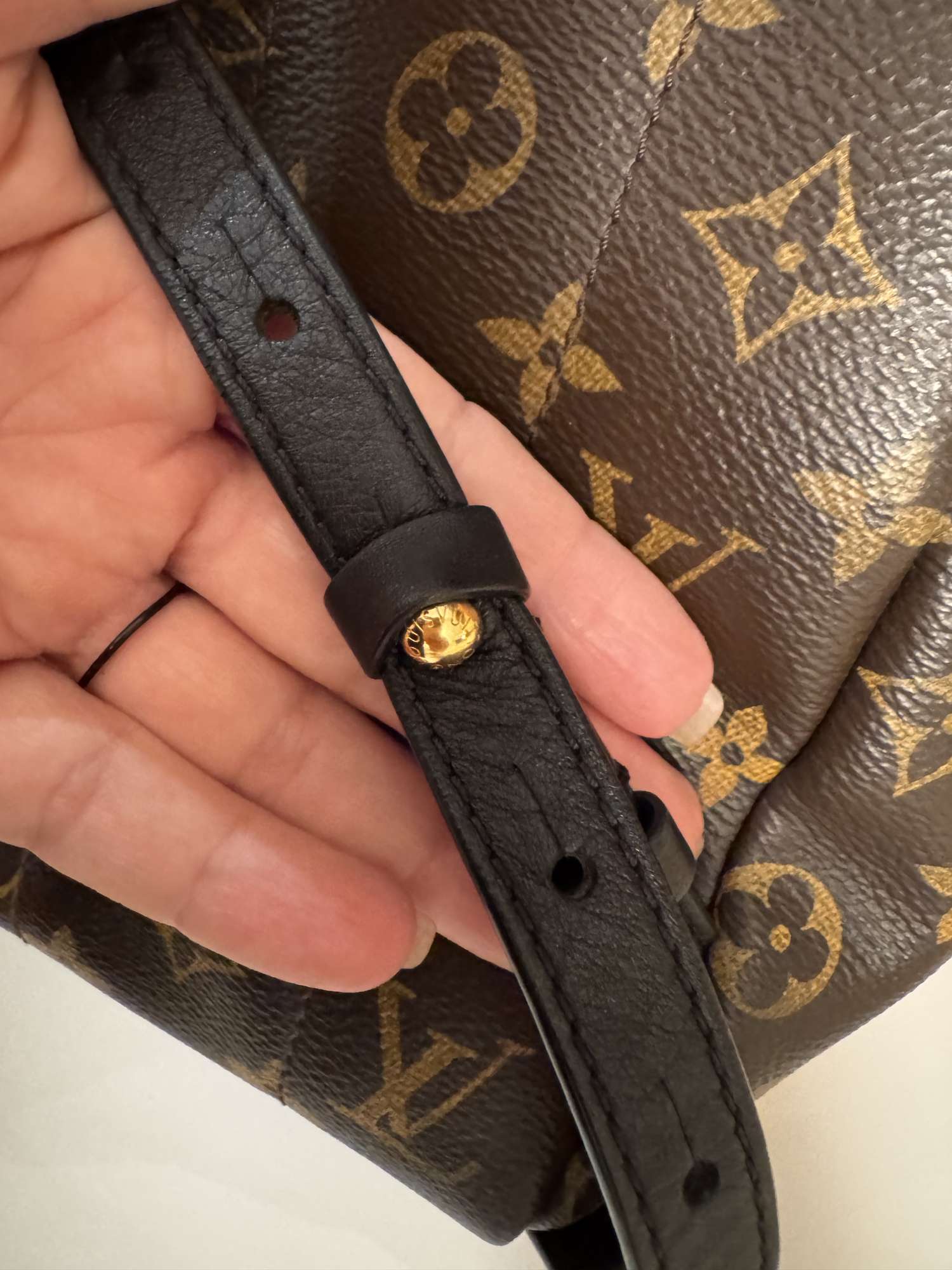 Louiss Vuitton Palm Spring MM