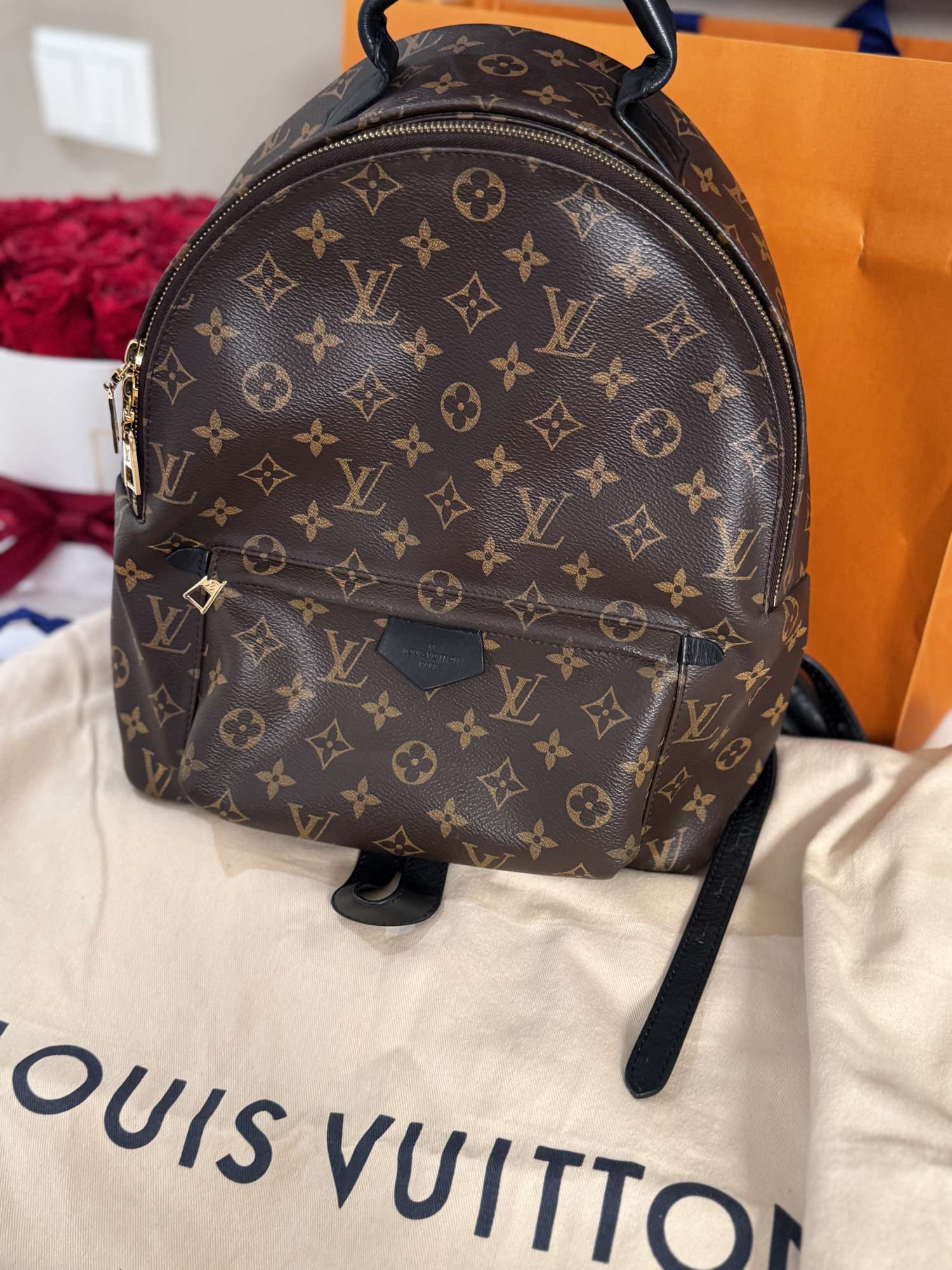 Louiss Vuitton Palm Spring MM