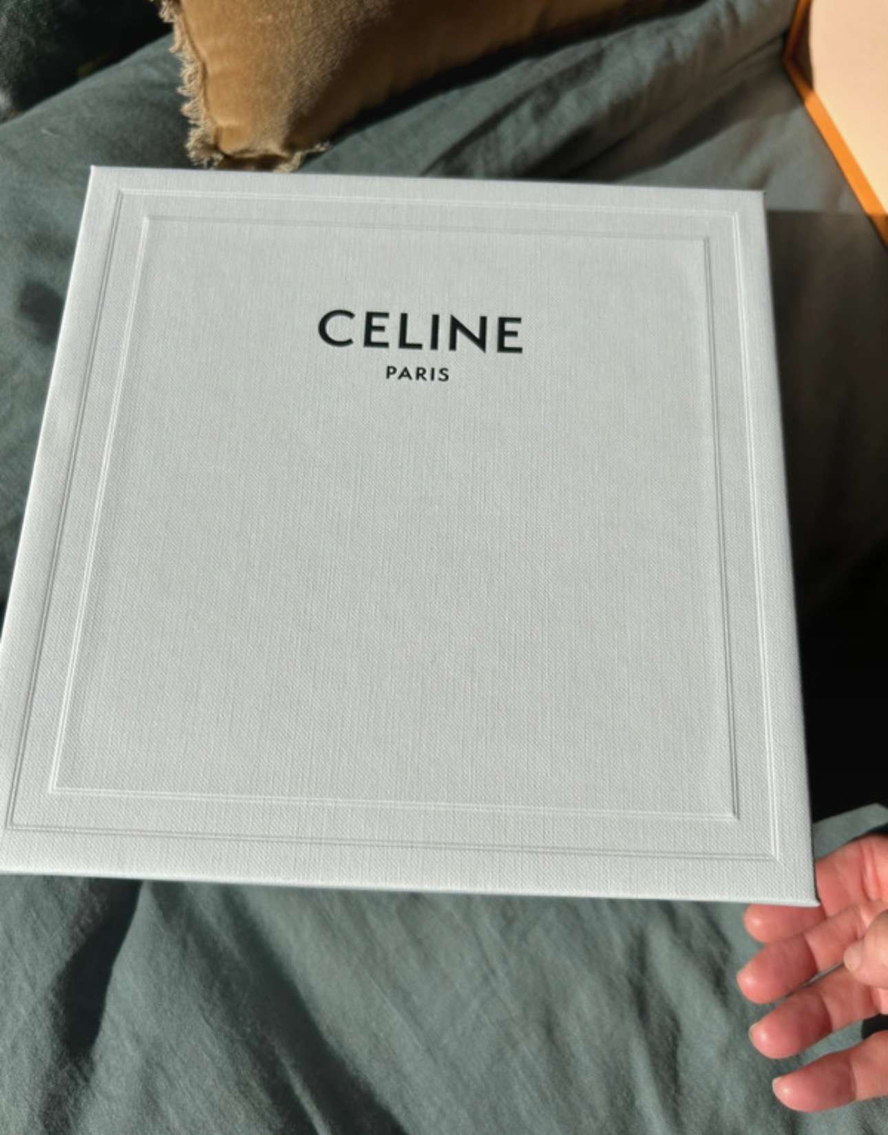 Celine crossbody/clutch