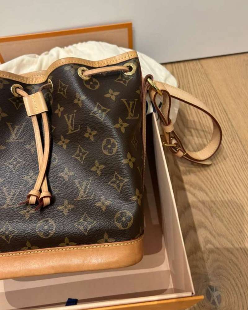 Louis Vuitton Neo Noe BB